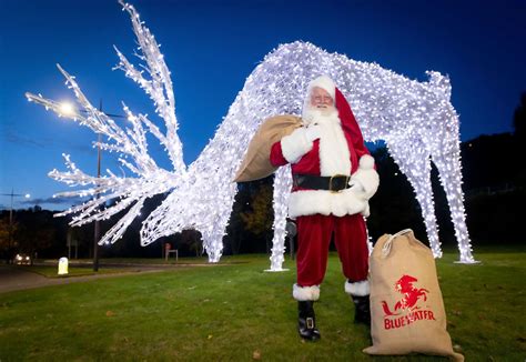 Maybe you would like to learn more about one of these? Bluewater Christmas events for 2020 to be unveiled from ...