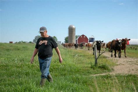 ‘grassland 20 Seeks To Transform Upper Midwest Agriculture Through