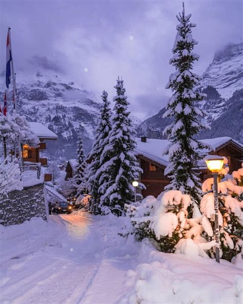 Winter Wonderland Grindelwald Switzerland Photo By Amirasani13
