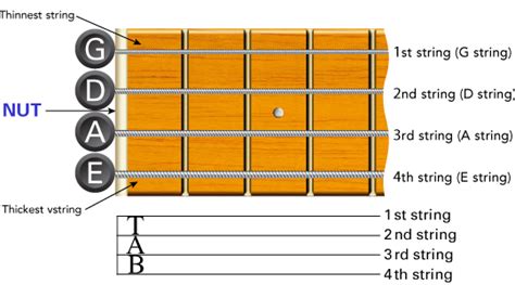 Read the tab from left to right playing only the notes indicated by the numbers. How to read Bass Guitar Music - Learn To Play Music Blog