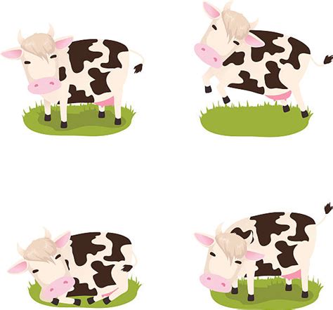 Cow Lying Down Illustrations Royalty Free Vector Graphics