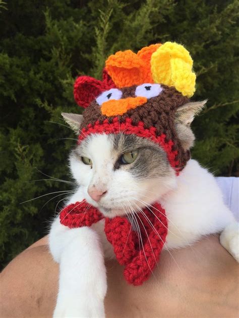 Free Crochet Kitten Hat Pattern