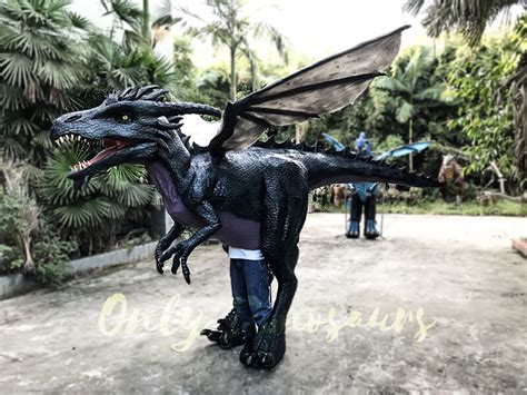 Awesome Black Dragon Costume Only Dinosaurs