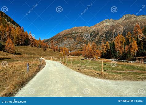 Road Through The Swiss Alps Stock Photo Image Of Wanderlust Larches