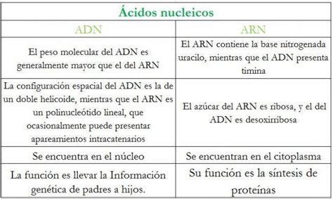 Un Cuadro Comparativo Entre Adn Y Arn Brainlylat