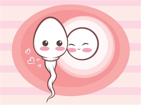 Cute Sperm Cells And Ovum Cartoon 4267588 Vector Art At Vecteezy