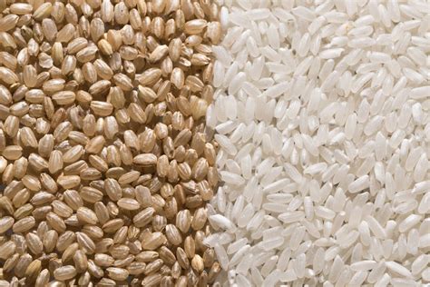 Brown Rice Vs White Rice Dietitians Explain The Difference