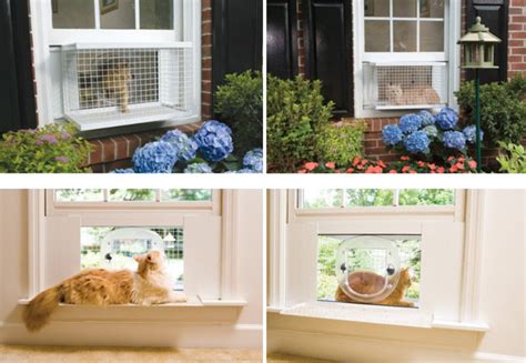 Check spelling or type a new query. Pergelator: Window Box for Cats, Part 2