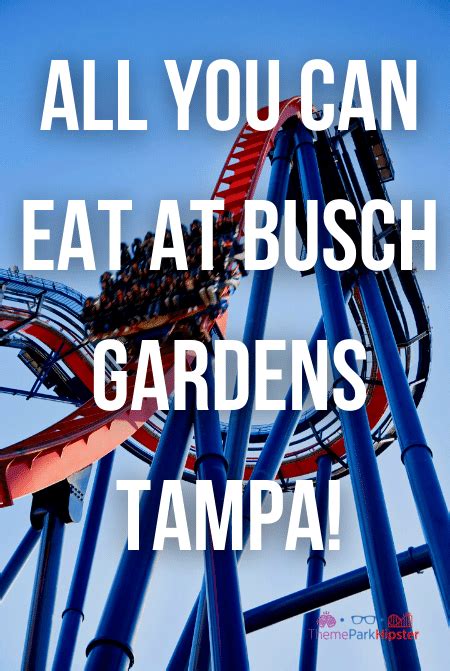 Busch Gardens Tampa All Day Dining Everything You Need To Know Themeparkhipster Tampa