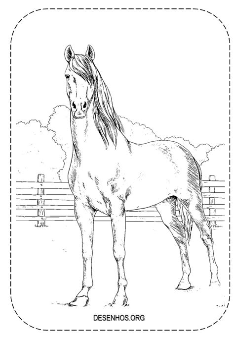 Aprender Sobre 117 Imagem Desenhos De Cavalos Realistas Br