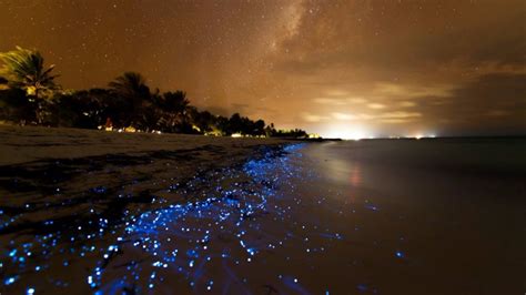 Las islas maldivas están situadas en el océano índico, al sur de la india. Vaadhoo, playa en las Islas Maldivas que brilla en la ...
