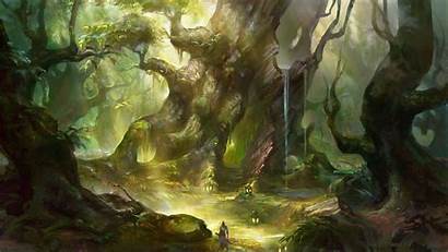 Enchanted Forest Background Desktop Wallpapers Backgrounds Resolution