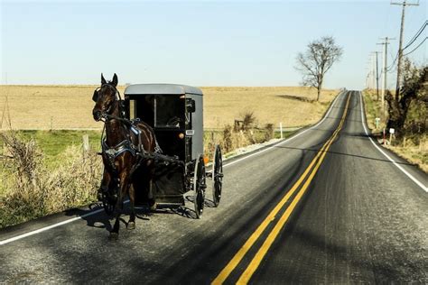 Exploring Amish Country The Best Things To Do In Lancaster