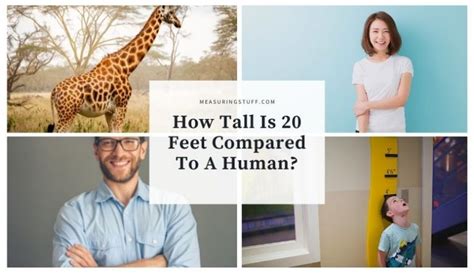 How Tall Is 20 Feet Compared To A Human Measuring Stuff
