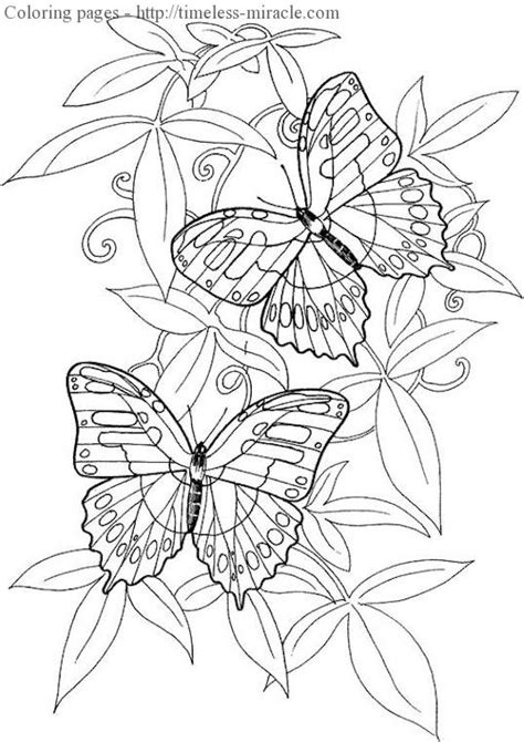 coloring pages   adults photo  timeless miraclecom