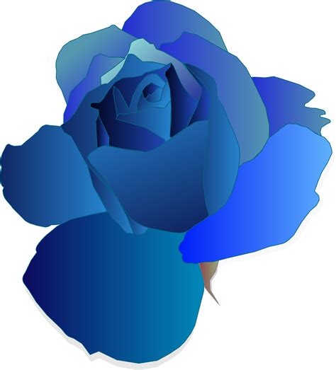 Blue Rose Clipart Png