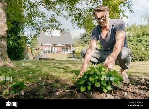 Man Gardening Hi Res Stock Photography And Images Alamy
