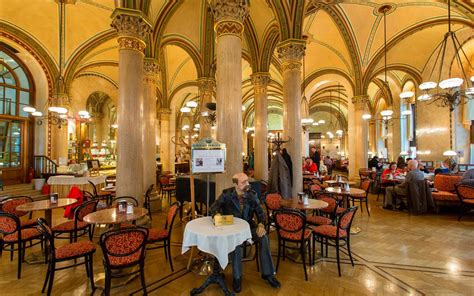 All of those are real, and they are looking for serious contact, which could result in a relationship with a perspective to marriage. What to eat in Vienna to sample famous Austrian cuisine