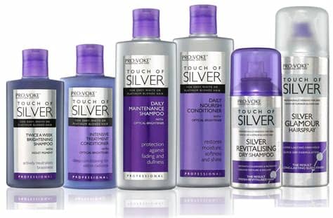 A great purple shampoo for your collection is the paul mitchell platinum blonde bottle. Touch of Silver
