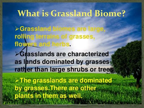 Grassland Biome