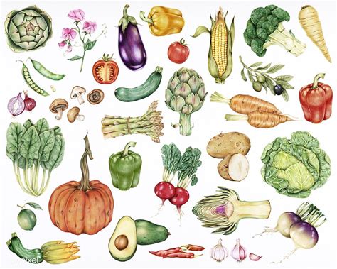 Download Premium Illustration Of Hand Drawn Vegetables Collection