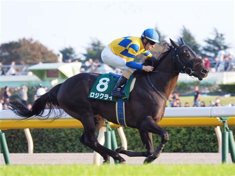 小明正在玩一个翻硬币的游戏。 桌上放着排成一排的若干硬币。 我们用 * 表示正面，用 o 表示反面. 【阪急杯2019】競馬予想!枠順確定後の見解とレース展開予想 ...