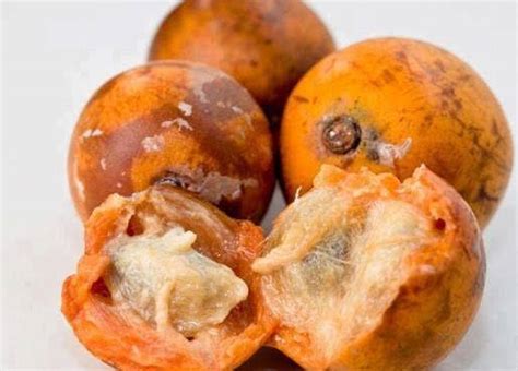 5 Health Benefits Of Agbalumo African Star Apple