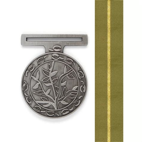 Hosm Humanitarian Overseas Service Medal Military Shop