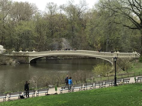 Bow Bridge In Central Park New York City Central Park New York