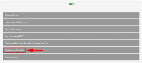 Consultar Rut 🥇 Qué Es Y Cómo Consultarlo En Línea