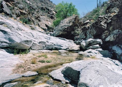 Bear Canyon Trail Sabino Canyon Tucson Arizona
