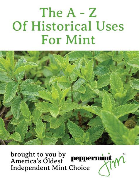 About Mint Peppermint Jim