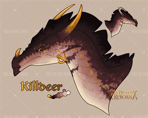 Killdeer the SandWing/NightWing Hybrid by xTheDragonRebornx on DeviantArt