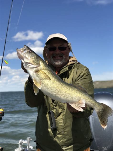 Fort Peck Walleye Fishing Captain And Crew Montana Hunting And