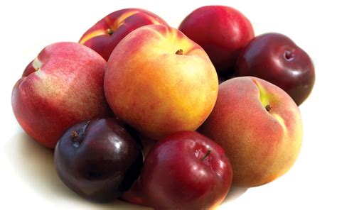 Cdc Report Links Listeria Cases To Stone Fruit Packer