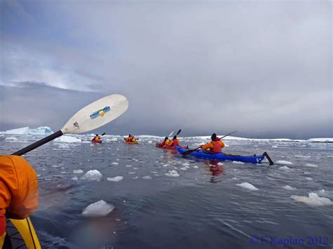 Arctic Fever Adventure And Ordinary Travel Tips Antarctic Beauty