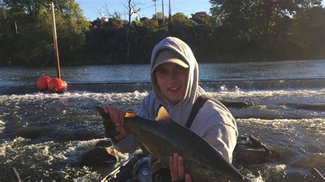 Salmon Fishing Oswego River 101516 Youtube