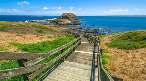 Phillip Island Tour From Melbourne