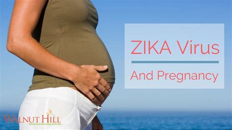 Zika Virus And Planning Pregnancy Walnut Hill Obgyn