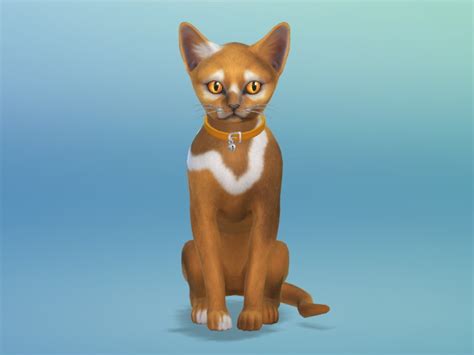 Sims 4 Cat Downloads Sims 4 Updates Page 2 Of 5
