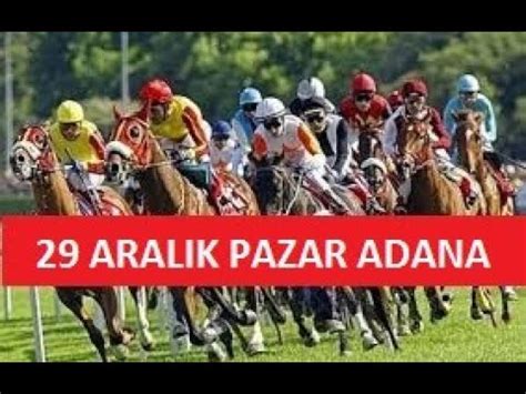 Aralik Pazar Adana At Yari Lari Tahm N Ve Yorumlari Youtube