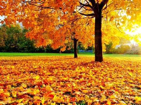 Europe Autumn Wallpapers Wallpaper Cave
