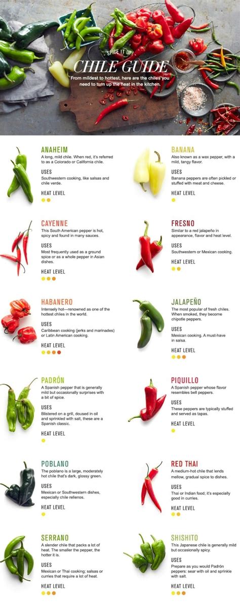 12 types of chili pepper and how to cook with them