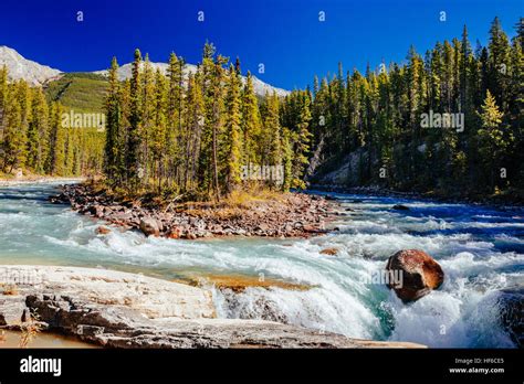 The Sunwapta River Is A Major Tributary Of The Athabasca River In