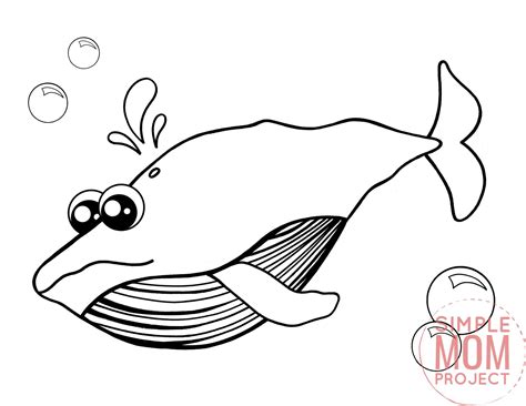 Free Printable Blue Whale Coloring Page Simple Mom Project