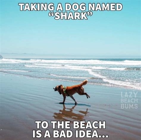Beach Memes Fun