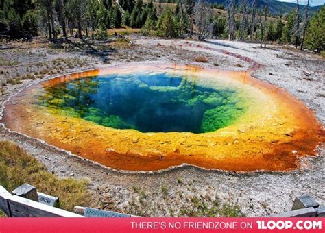 Morning Glory Rainbow Pool Yellowstone National Park Rainbow Pools