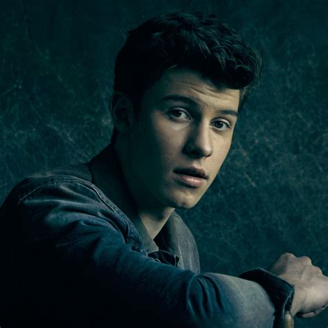 Shawn Mendes On Spotify