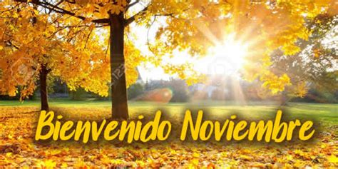 Mensajes Para Recibir El Mes De Noviembre Con Imagenes