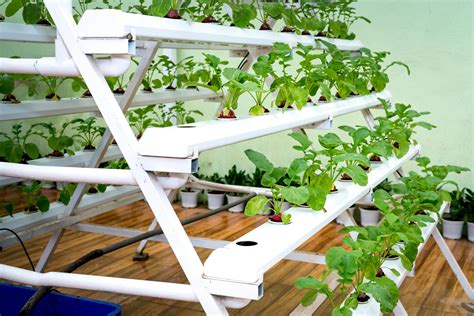 How To Build A Hydroponic Garden In Simple Step By Step Instructions